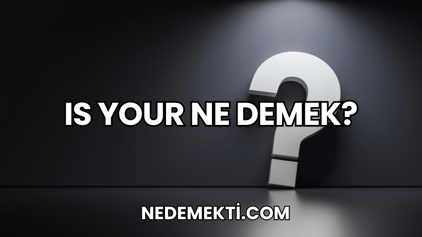 Is Your Ne Demek?