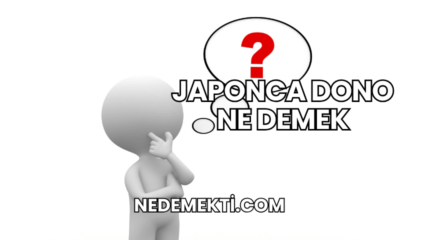 Japonca Dono Ne Demek