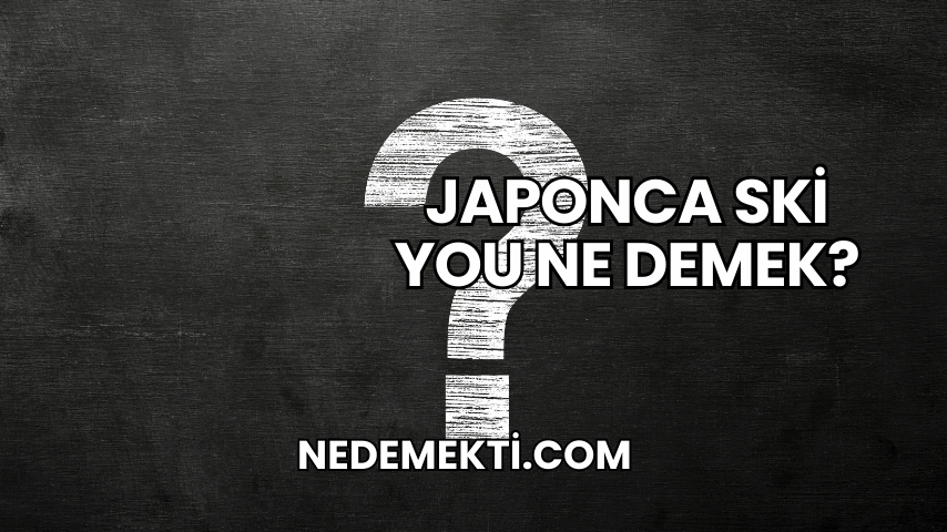 Japonca Ski You Ne Demek?