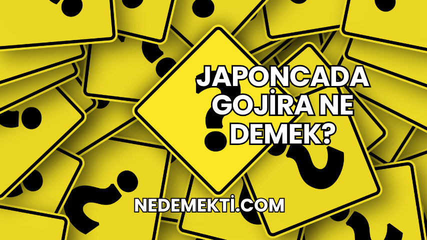 Japoncada Gojira Ne Demek?