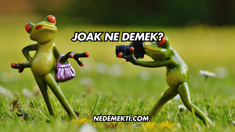 Joak Ne Demek?