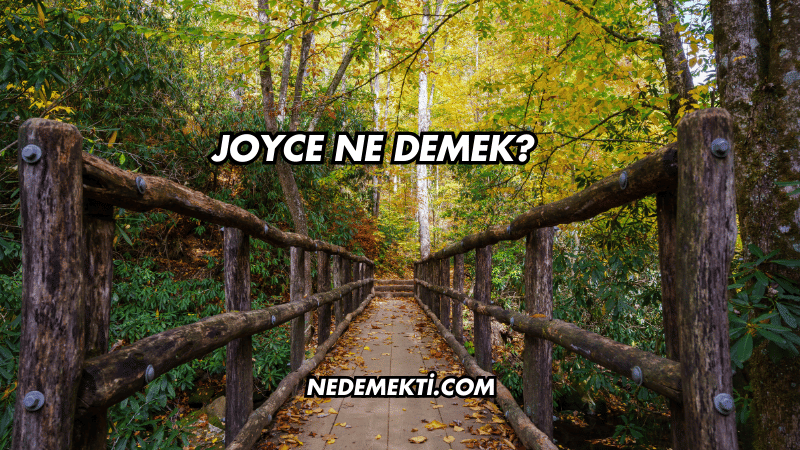 Joyce Ne Demek?