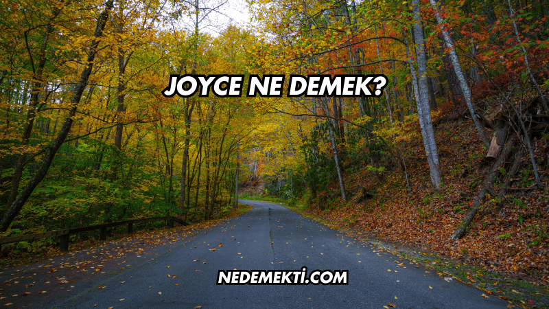 Joyce Ne Demek?