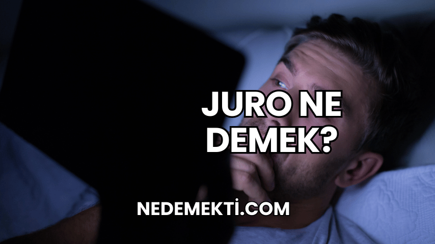 Juro Ne Demek?