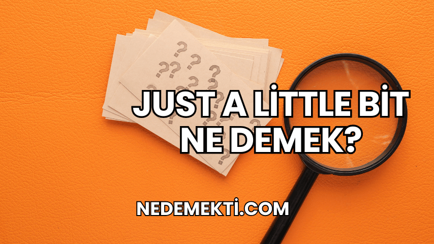 Just a Little Bit Ne Demek?