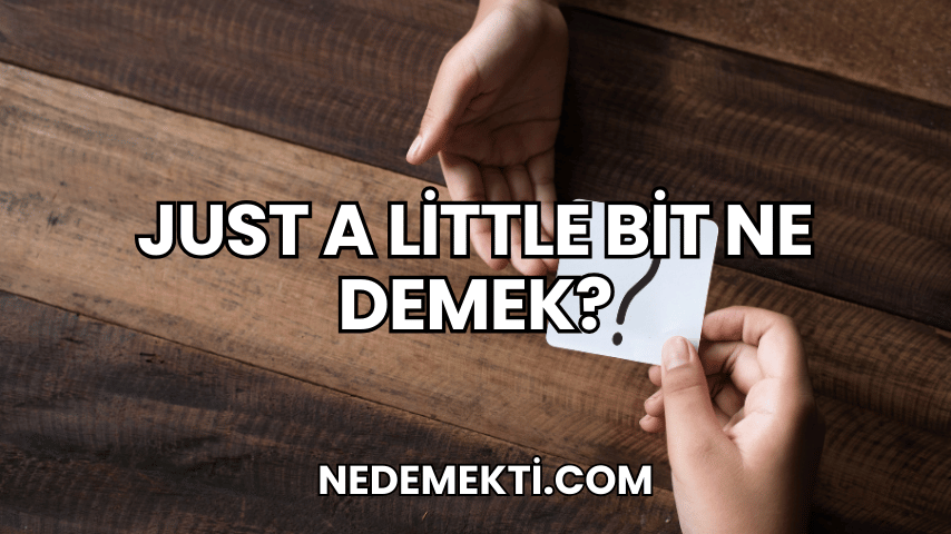 Just a Little Bit Ne Demek?