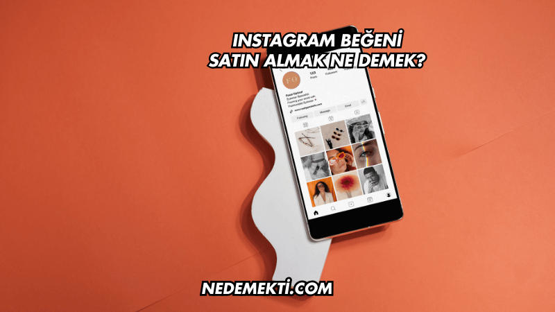 Instagram Beğeni Satın Almak Ne Demek?