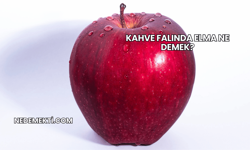 Kahve Falında Elma Ne Demek?