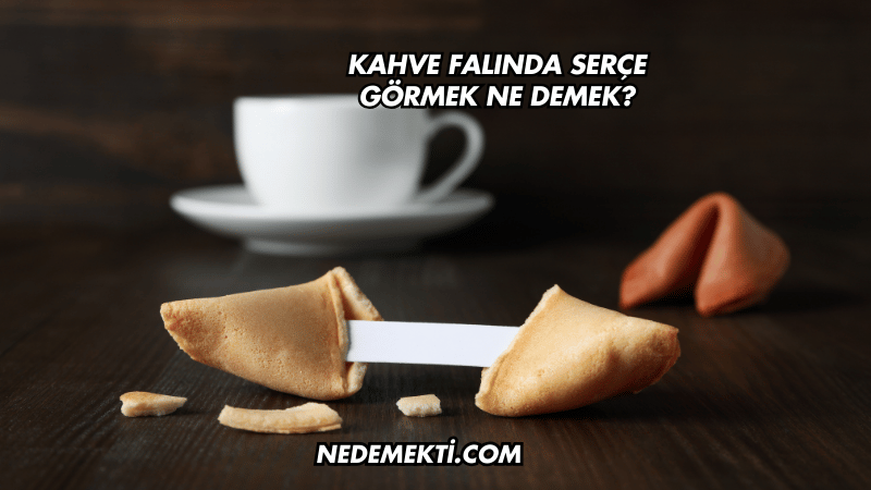 Kahve Falında Serçe Görmek Ne Demek?