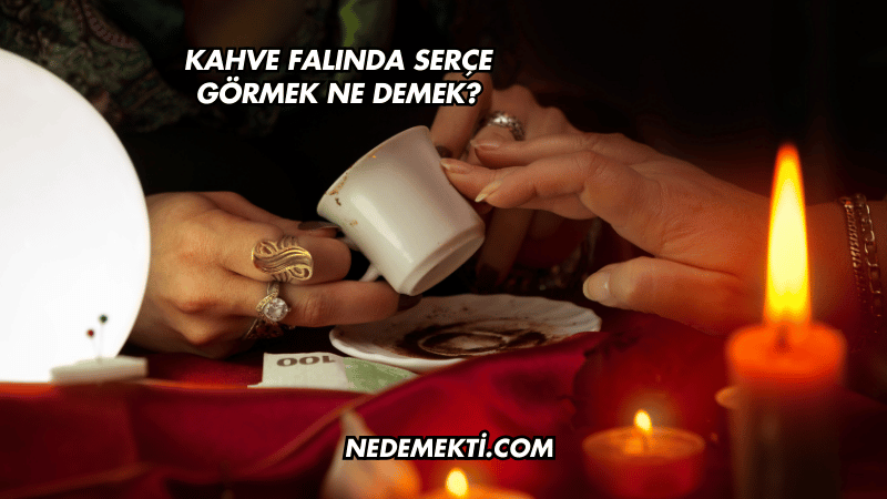 Kahve Falında Serçe Görmek Ne Demek?